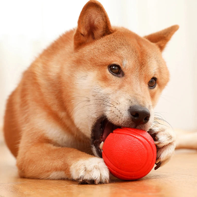 Durable Rubber Dog Ball – Non-Toxic Chew Toy for Training and Interactive Play