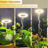 Full Spectrum LED Grow Light with Adjustable Brightness & Timer for Indoor Plants