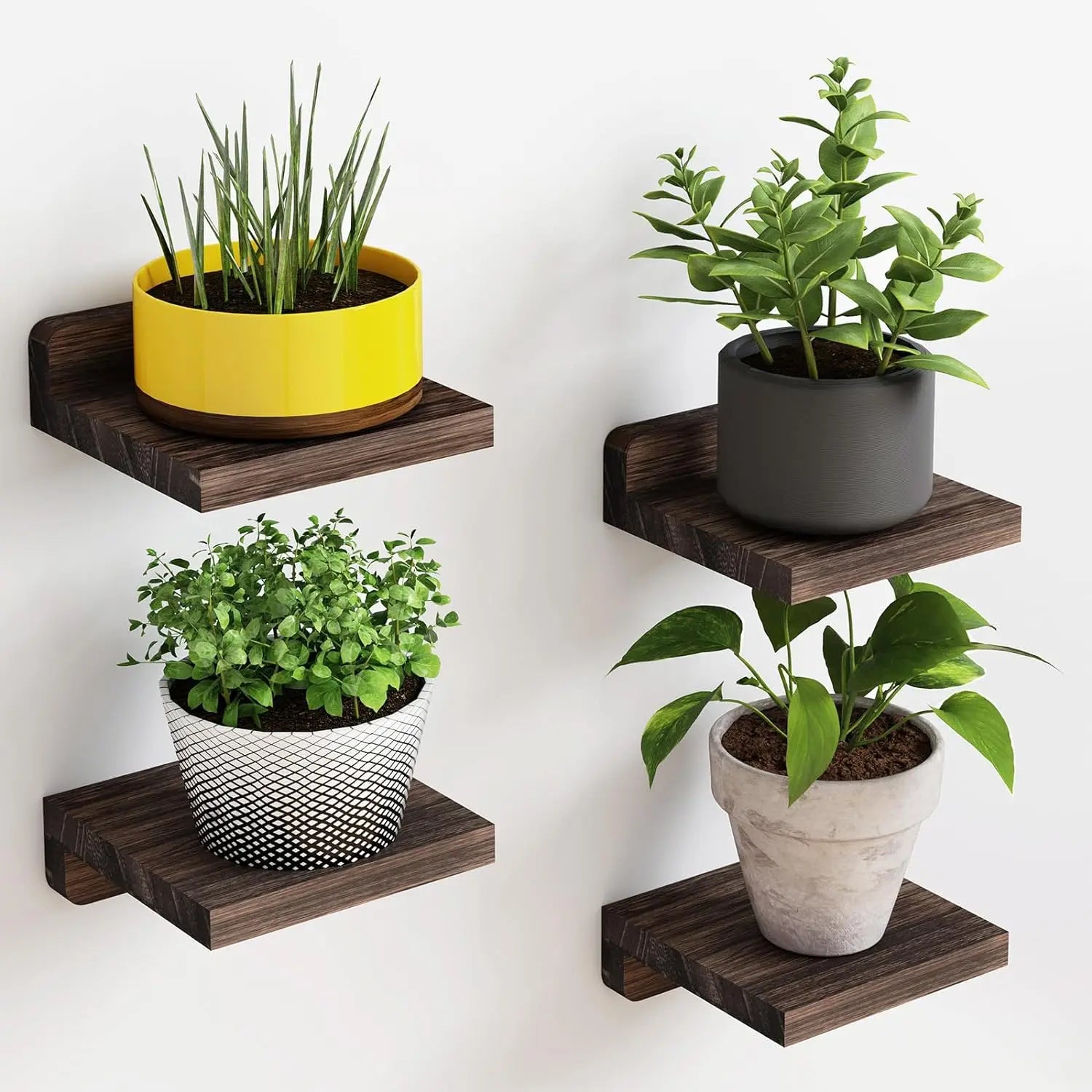 Paquete de 4 estantes flotantes pequeños: repisas de madera de 5 pulgadas para pared para decoración, almacenamiento y exhibición del hogar