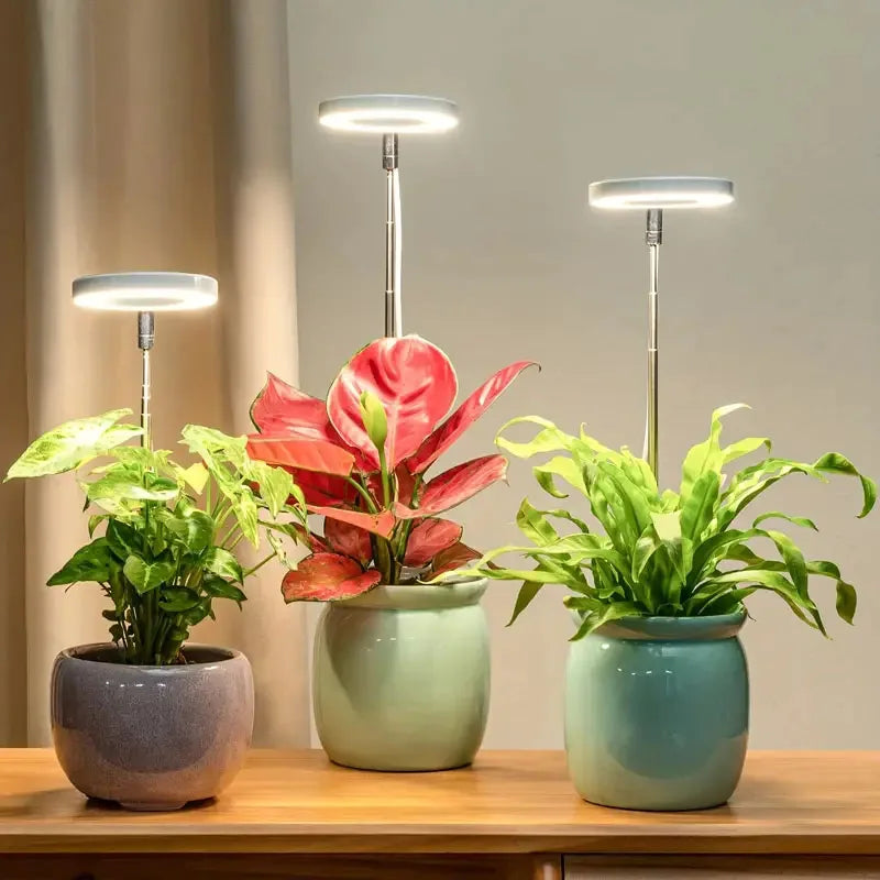 Full Spectrum LED Grow Light with Adjustable Brightness & Timer for Indoor Plants
