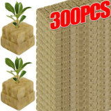 Rockwool Starter Plugs for Hydroponics - Seed Starter Cubes for Plant Propagation