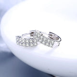 925 Sterling Silver Crystal Zircon Double Row Round Stud Earrings for Women