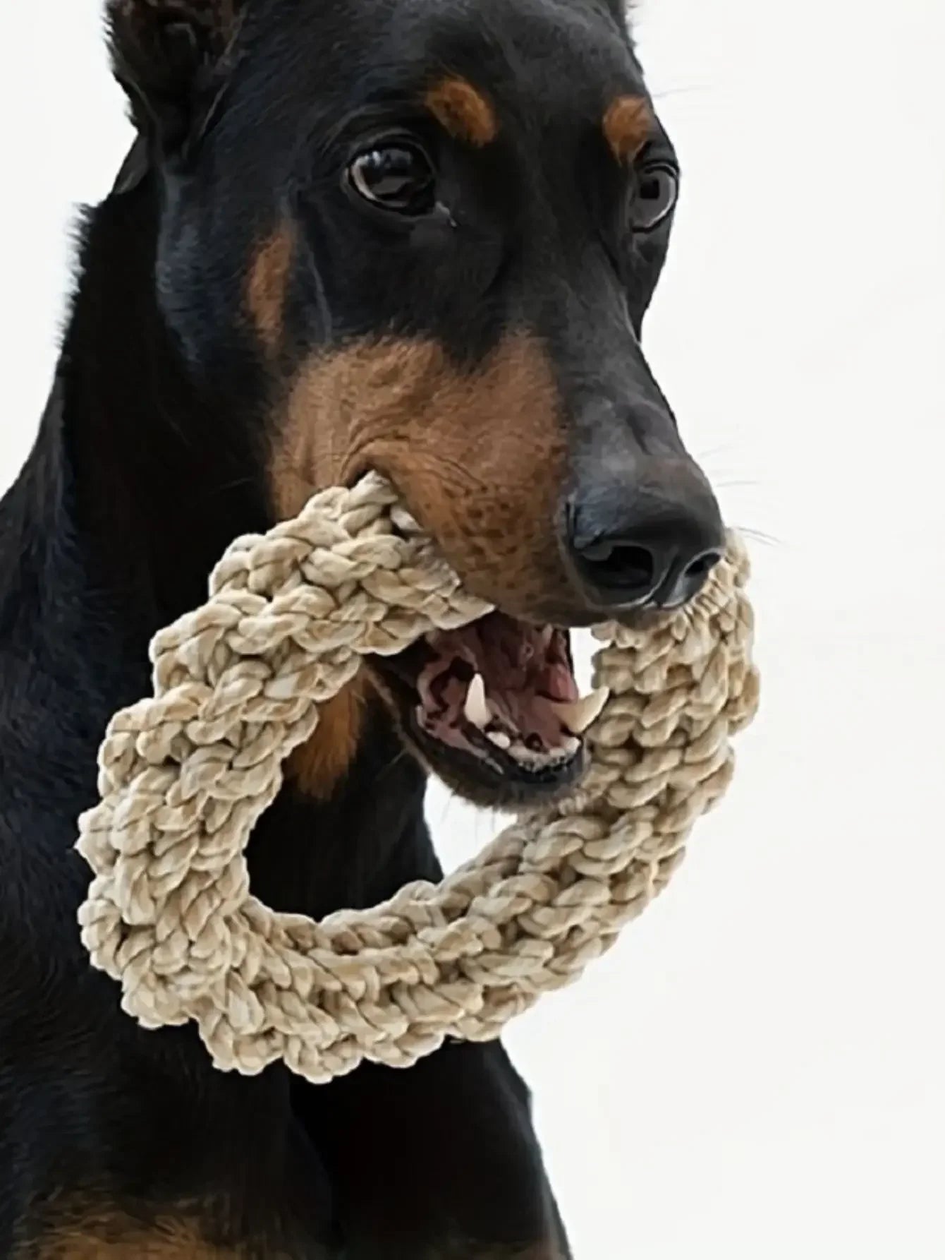 Durable Linen Dog Chew Toy – Non-Toxic Bite-Resistant Pet Toy