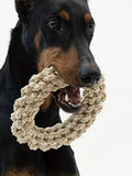 Durable Linen Dog Chew Toy – Non-Toxic Bite-Resistant Pet Toy