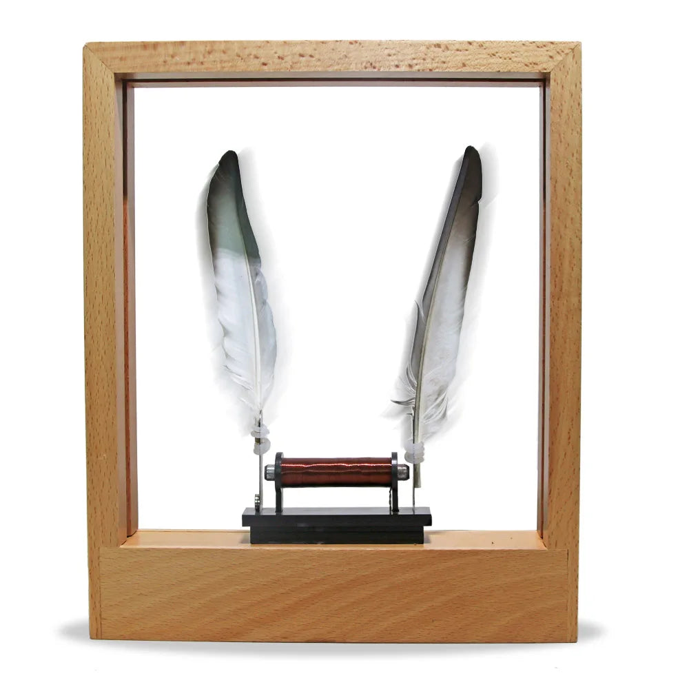 Slow Motion Optical Illusion Photo Frame – Pine Wood Display for Real-Time Motion Effects