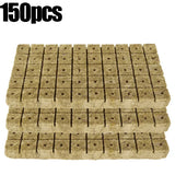 50pc Sponge Block Starter Plugs - Hydroponic Grow Cubes for Seed Starting & Plant Propagation