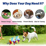 Plush Dog Frisbee Toy – Interactive Chew Toy with Squeaker for Dental Health & Play