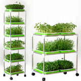 Seed Germination Tray – Soilless Sprouting Kit for Wheatgrass, Beans & Microgreens