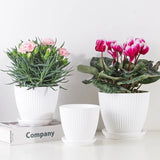 Modern Resin Flower Pot for Indoor Plants and Desk Décor