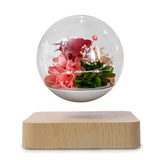 Magnetic Levitating Flower Pot - Floating Bonsai Planter for Home & Office Decor