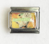 DIY Cartoon Cat Italian Charm Links for Stainless Steel Bracelets – Trendy Modular Jewelry Accessories