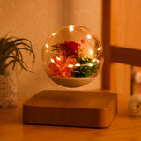 Magnetic Levitating Flower Pot - Floating Bonsai Planter for Home & Office Decor