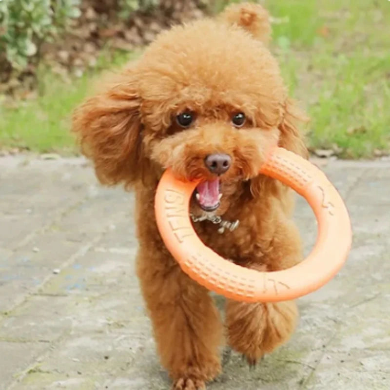 Durable Dog Flying Disc – EVA Training Ring Toy for Outdoor Play & Dental Health