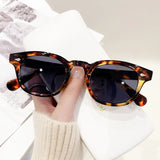 Vintage Shell Round Sunglasses – Retro Fashion Shades for Men & Women (UV400 Protection)