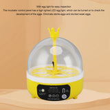 Mini Egg Incubator for Home - Automatic Temperature Control for Chickens & Ducks