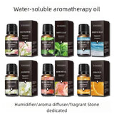 Aceites esenciales de 10 ml para difusores y humidificadores: set de aromaterapia con lavanda, rosa, eucalipto y más