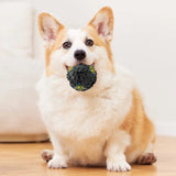 Interactive Food Dispensing Ball – Chew Toy with Sound for Dogs of All Sizes