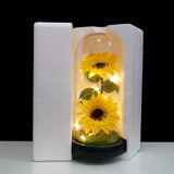 Eternal Rose in Glass Dome - Illuminated Galaxy Flower with Butterfly for Mothers Day
