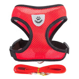 Adjustable Reflective Cat Harness with Leash – Soft, Safe & Comfortable Pet Walking Set