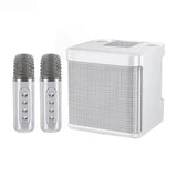 Portable Bluetooth Karaoke Speaker with Dual Microphones and 3D Surround Sound