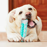TPR Dental Chew Stick for Dogs – Teeth Cleaning Chew Toy for Puppies & Adult Dogs
