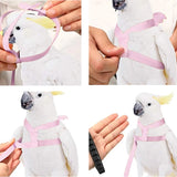 Adjustable Parrot Flying Harness with Leash – Safe & Comfortable Bird Flight Training Gear
