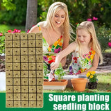 50pc Sponge Block Starter Plugs - Hydroponic Grow Cubes for Seed Starting & Plant Propagation