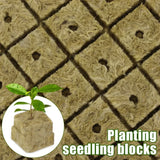 50pc Sponge Block Starter Plugs - Hydroponic Grow Cubes for Seed Starting & Plant Propagation