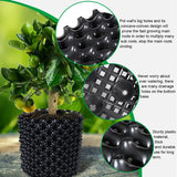 Durable Root-Control Nursery Pots for Fast Plant Growth and Transplanting