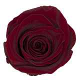 B Grade 4-5cm Preserved Roses Preserved Flower Fresh Natural Real Eternal Rose Immortal Rose Flowers Florist DIY Floral Material