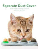 Catnip Chew Toy for Cats – Interactive Stress Relief and Dental Care