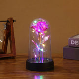 Premium Decorative Silk Rose in Glass Dome – Eternal Flower Gift for Home & Romantic Occasions
