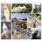 Adjustable Parrot Flying Harness with Leash – Safe & Comfortable Bird Flight Training Gear