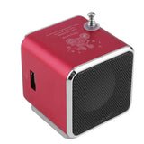 Mini Bluetooth Speaker with LCD Display, FM Radio & TF Card Support