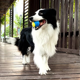 Durable TPR Dog Ball – Chew-Resistant Toy for Interactive Play