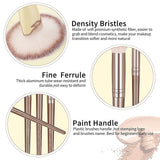 20-Piece Professional Makeup Brush Set for Flawless Beauty Application