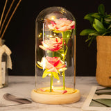 Eternal Rose in Glass Dome with LED Lights - Romantic Gift for Women