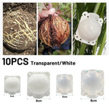 Reusable High-Pressure Grafting Propagation Ball for Plant Cloning