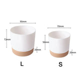 Classic Plastic Flower Pot with Double-Layer Water Storage Tray
