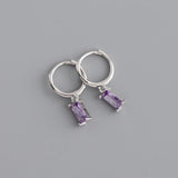 Crystal Stainless Steel Hoop Earrings – Sparkling Trendy Style for Women
