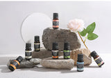 Aceites esenciales de 10 ml para difusores y humidificadores: set de aromaterapia con lavanda, rosa, eucalipto y más