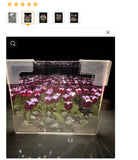 Kit de luz nocturna DIY con forma de tulipán en 3D: lámpara LED creativa para regalar a parejas y para decorar el hogar