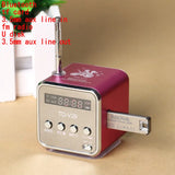 Mini Bluetooth Speaker with LCD Display, FM Radio & TF Card Support