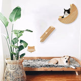 Wall-Mounted Cat Shelf with Hammock – Wooden Climbing Perch and Scratching Post for Indoor Cats