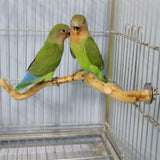 Natural Wood Parrot Perch – Bird Cage Standing Stick & Climbing Toy