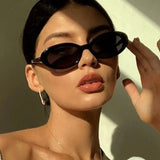 2024 Women’s Small Oval Sunglasses – Retro Designer Shades with UV400 Protection