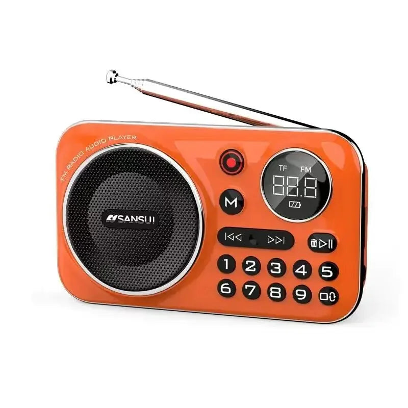 Mini Bluetooth FM Radio Speaker with HIFI Sound, Recording & USB/TF Playback