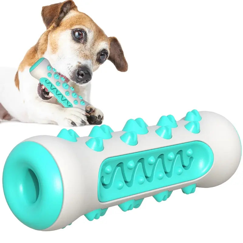 TPR Dental Chew Stick for Dogs – Teeth Cleaning Chew Toy for Puppies & Adult Dogs