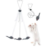 Interactive Hanging Cat Toy with Door Frame Hook – Stimulating Play for Indoor Cats