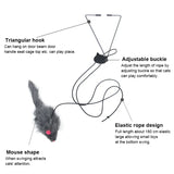 Interactive Hanging Cat Toy with Door Frame Hook – Stimulating Play for Indoor Cats